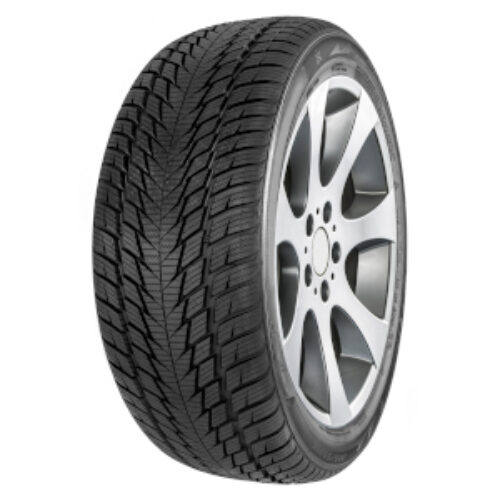 205/40 R17 84V XL FORTUNA WI GOWIN UHP2