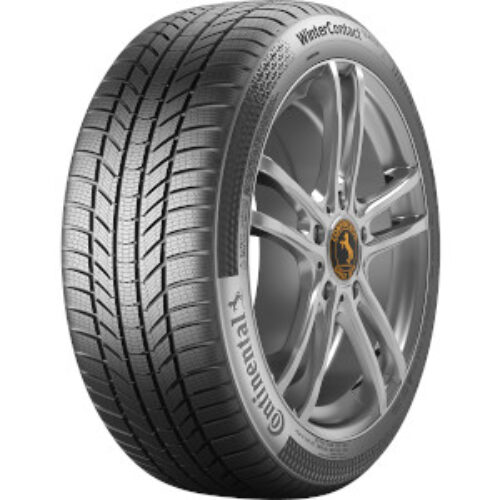 195/60 R18 96H XL CONTINENTAL WI WinterContact TS870 P